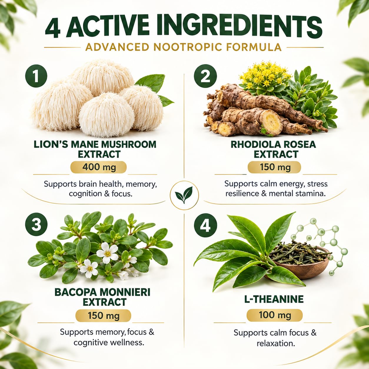 Lions Mane Mushroom Capsules 800 mg with Mushroom Extract, Rhodiola, Bacopa & L-Theanine – Nootropic Brain Health Supplements for Memory, Focus & Mental Clarity – Vegan, Non-GMO – 120 Capsules — Amazon image 2