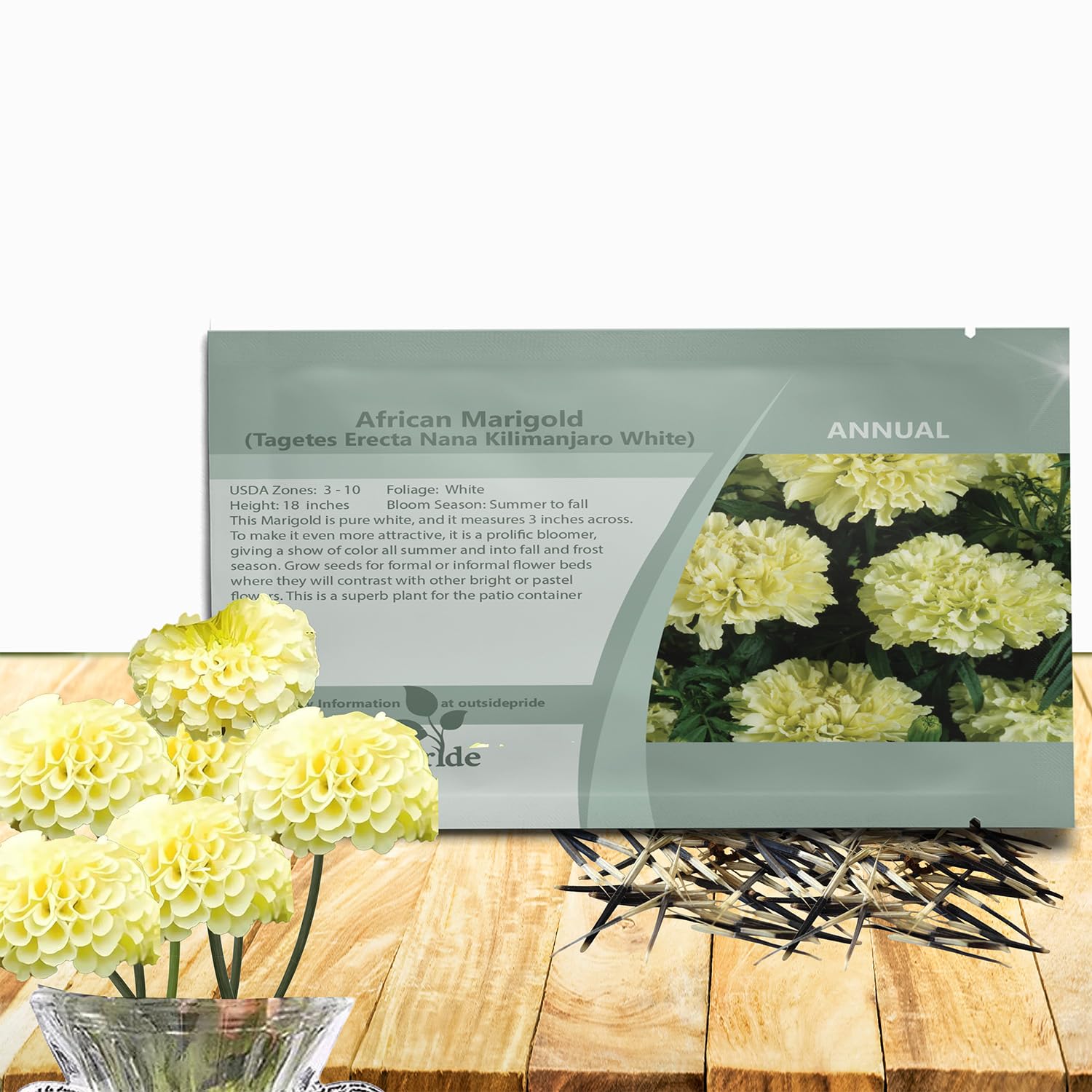 Amazon.com : Outsidepride Nana Kilimanjaro White African Marigold