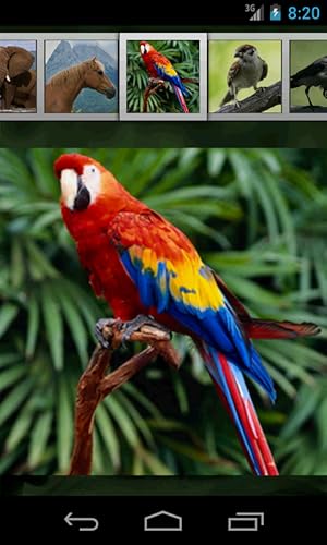 Animal Sounds for Kids