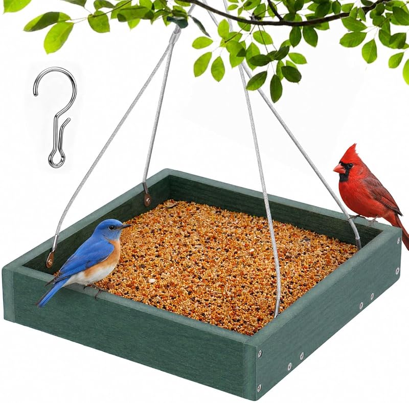 Comedero para pájaros con plataforma compuesta de WPC, gran capacidad de 3,5 libras, duradero, bandeja de semillas, comedero para pájaros para exteriores con fondo de malla metálica resistente a la intemperie para jardín, verde