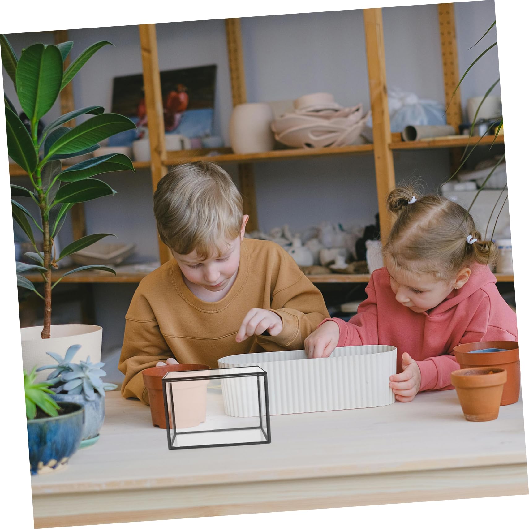 Terrario Per Piante Succulente Contenitore Trasparente Per Paesaggi Design Artistico Per Decorazione Casa e Ufficio Compatte e Leggere Per Progetti e Regali Originali