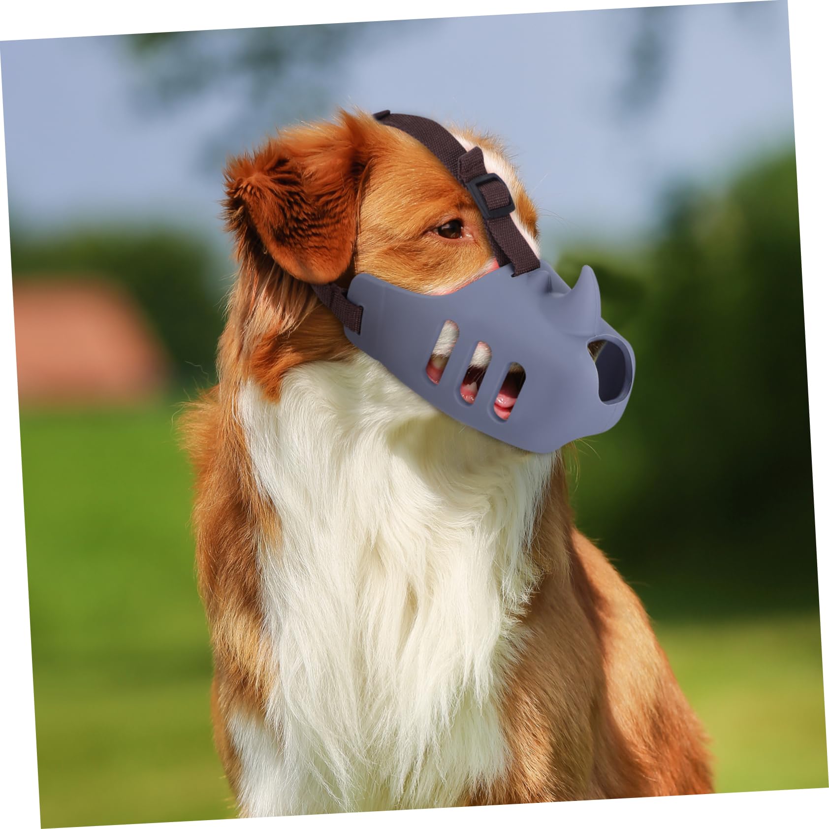 BESPORTBLE Museruola per Cani in Silicone Morbido 3 Pezzi, Regolabile e Confortevole, Adatta per Cani Medi e Grandi, per Prevenire Morsi e Grooming
