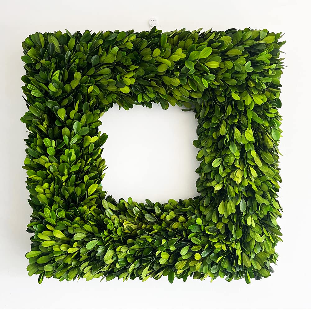 BoxwoodWorld Real Boxwood Wreath 18 inch Square Wreath Flourish Type Great Indoor Spring Summer Wreath Decor Suits for Party Wedding or Daily Decoration (18 inch, Square)