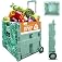 Inspired Living Ultra-Slim Rolling Collapsible Storage Pack-N-Roll Utility-carts, with Telescopic Handle, for Home, Garden, S