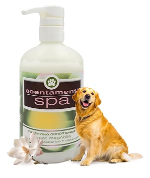 Best Shot Scentament Spa Caressing Body Wash for Dogs & Cats, Gentle Pet Shampoo for Sensitive Skin, Moisturizing Dog Wash & Grooming Essential, Sweet Magnolia Scent, 16 fl oz