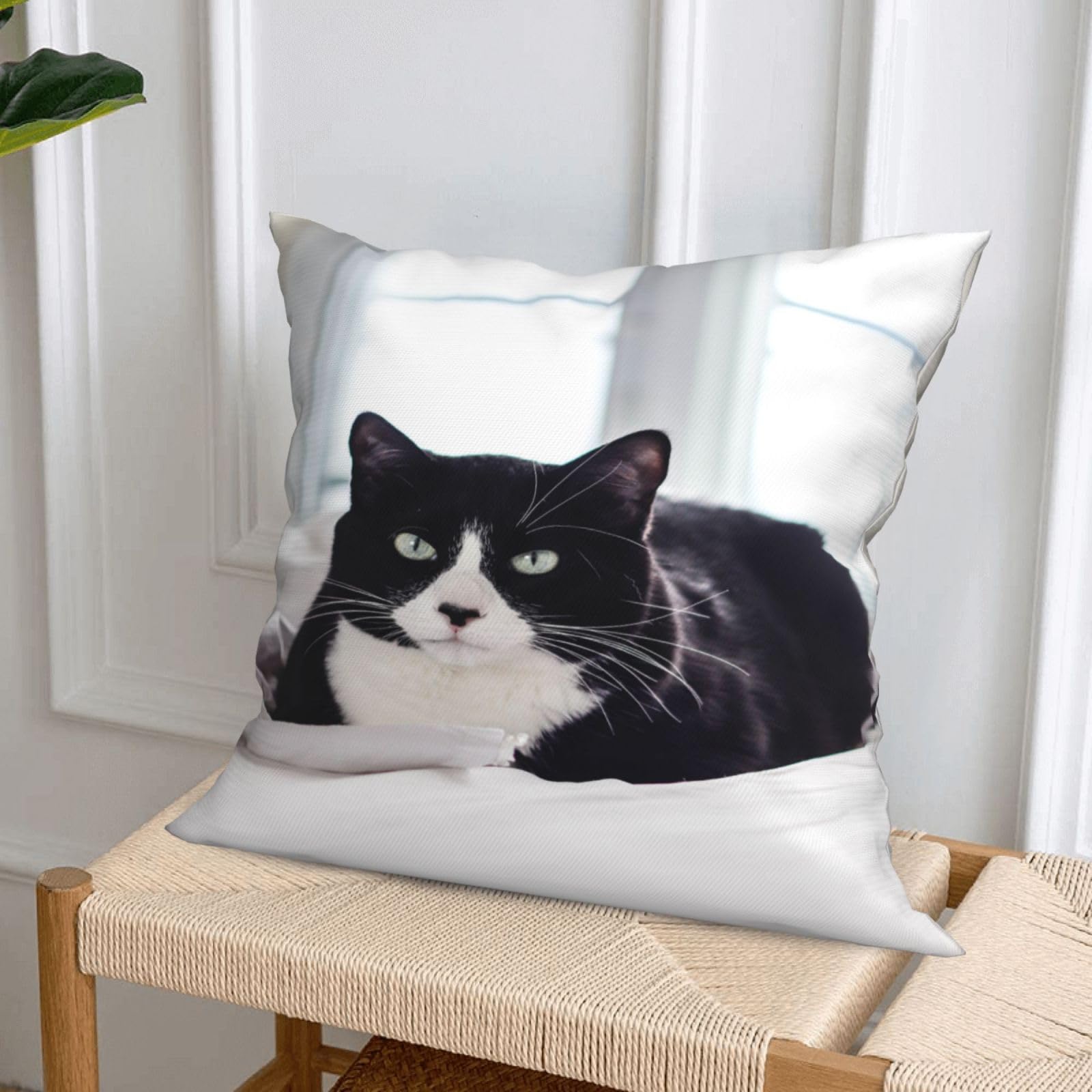 Fundas de Cojines Juego de 4 60x60cm Funda Cojin Felpa Corto Gato Cojines Decoracion Perros Fundas de Cojín Cuadradas Impresión Doble Cara con Cremallera Oculta,para Sofá Cama Decoración Hogar24x24in