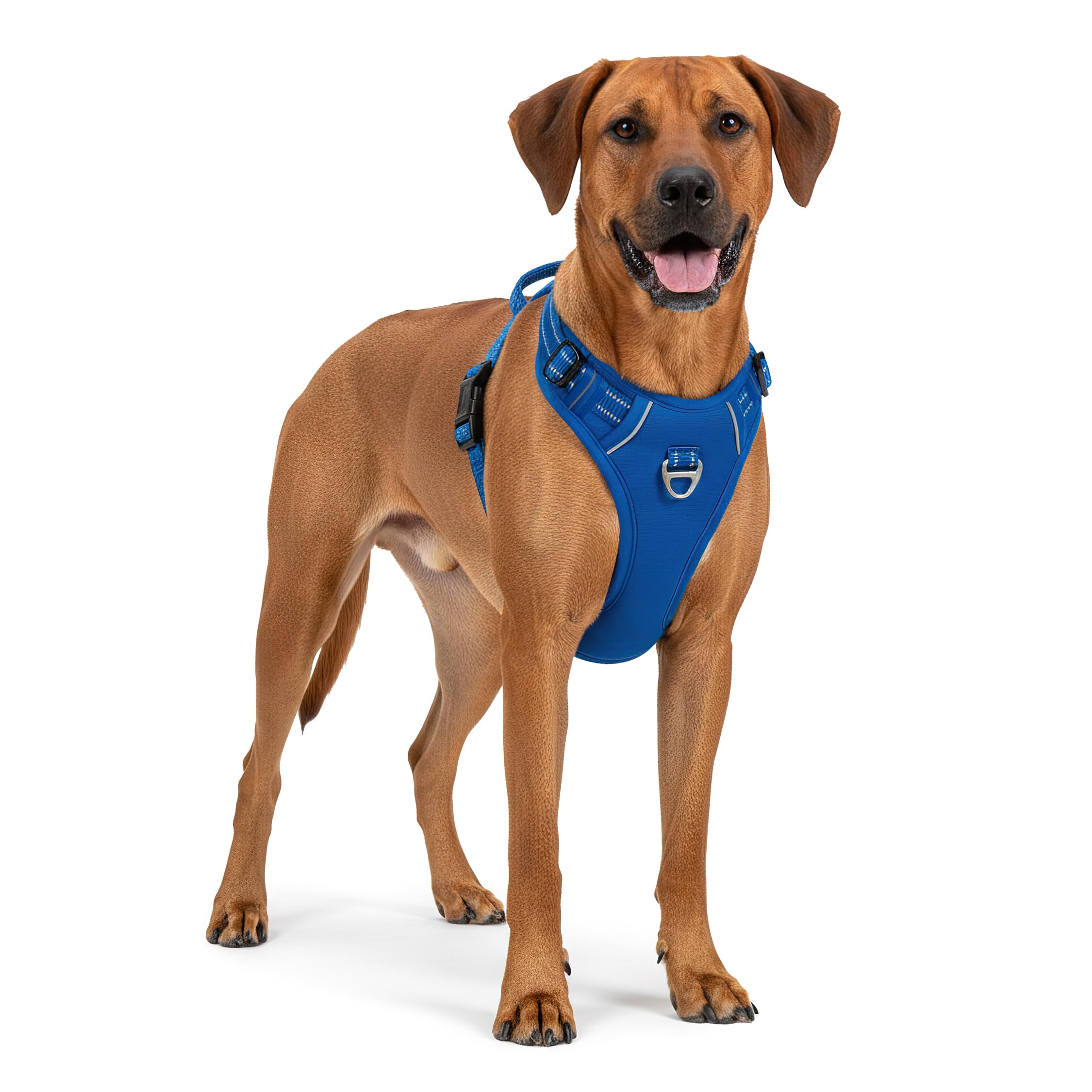 Reichstadt Pets Hundegeschirr Mittlere Hunde 25RSP083 Blue M | Verstellbares No-Pull Geschirr mit Griff & Reflektoren | Atmungsaktiv, Gepolstert & Strapazierfähig | Sicherheitsgeschirr