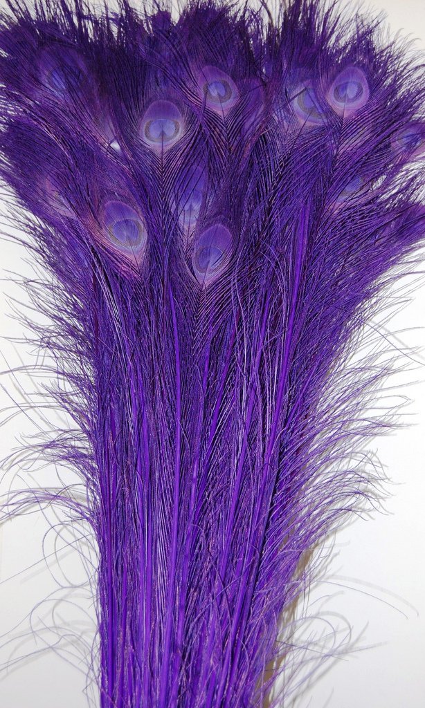 50 Pcs Bleached & Dyed Peacock Feathers 35