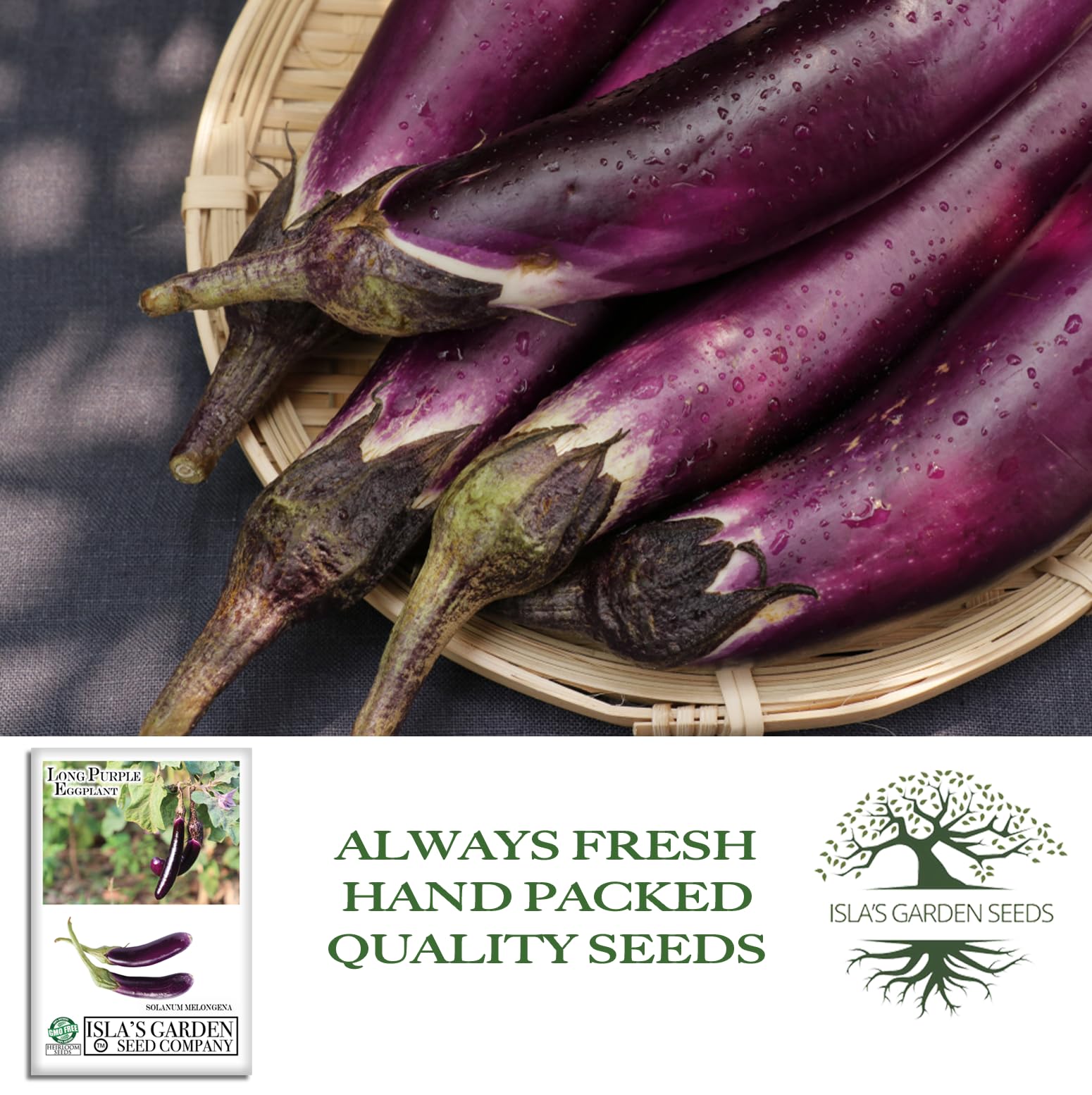 Amazon.com : Long Purple Eggplant Seeds – 100+ Non-GMO