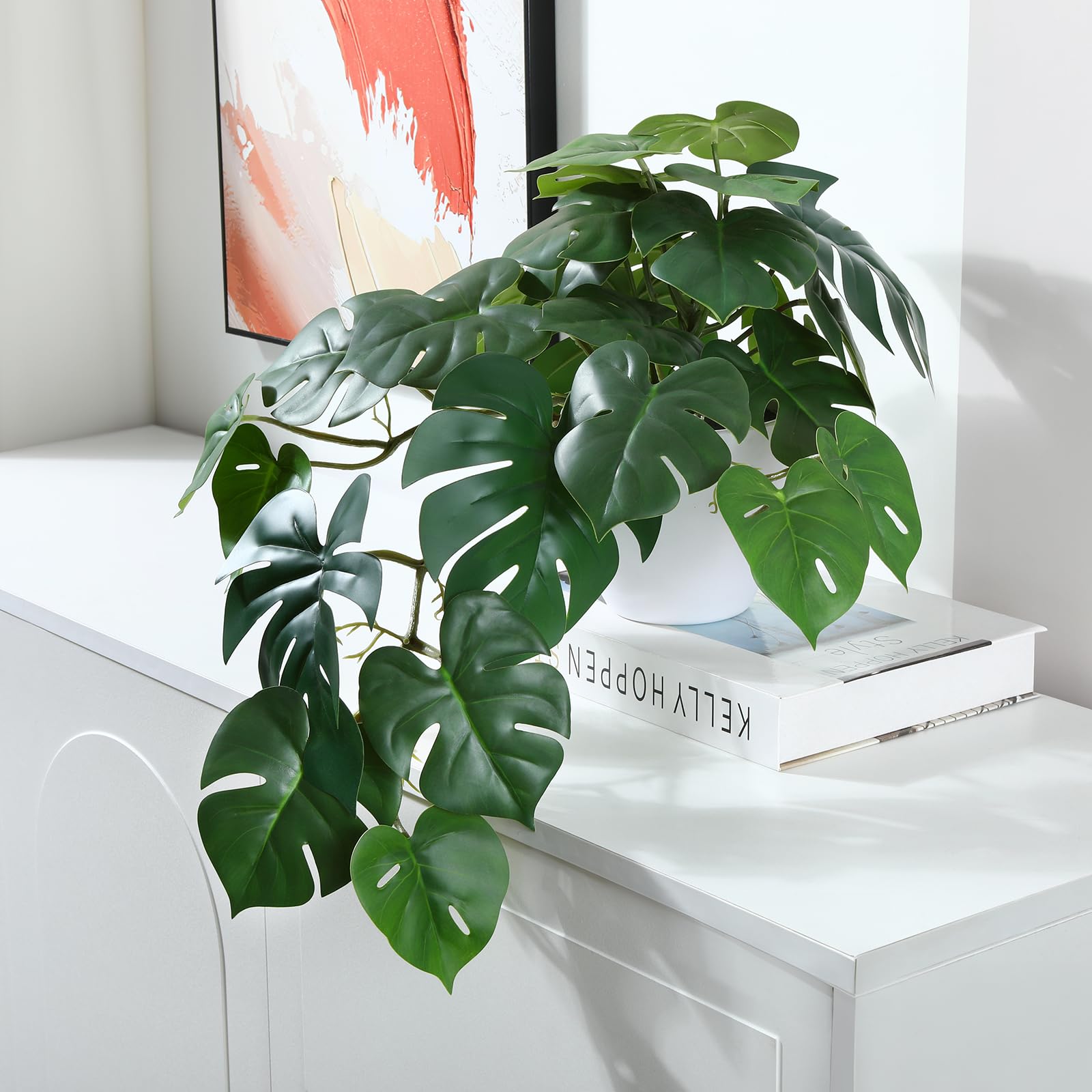 monstera brandtianum Philodendron Brandtianum Wild Form Ecuador main image 0