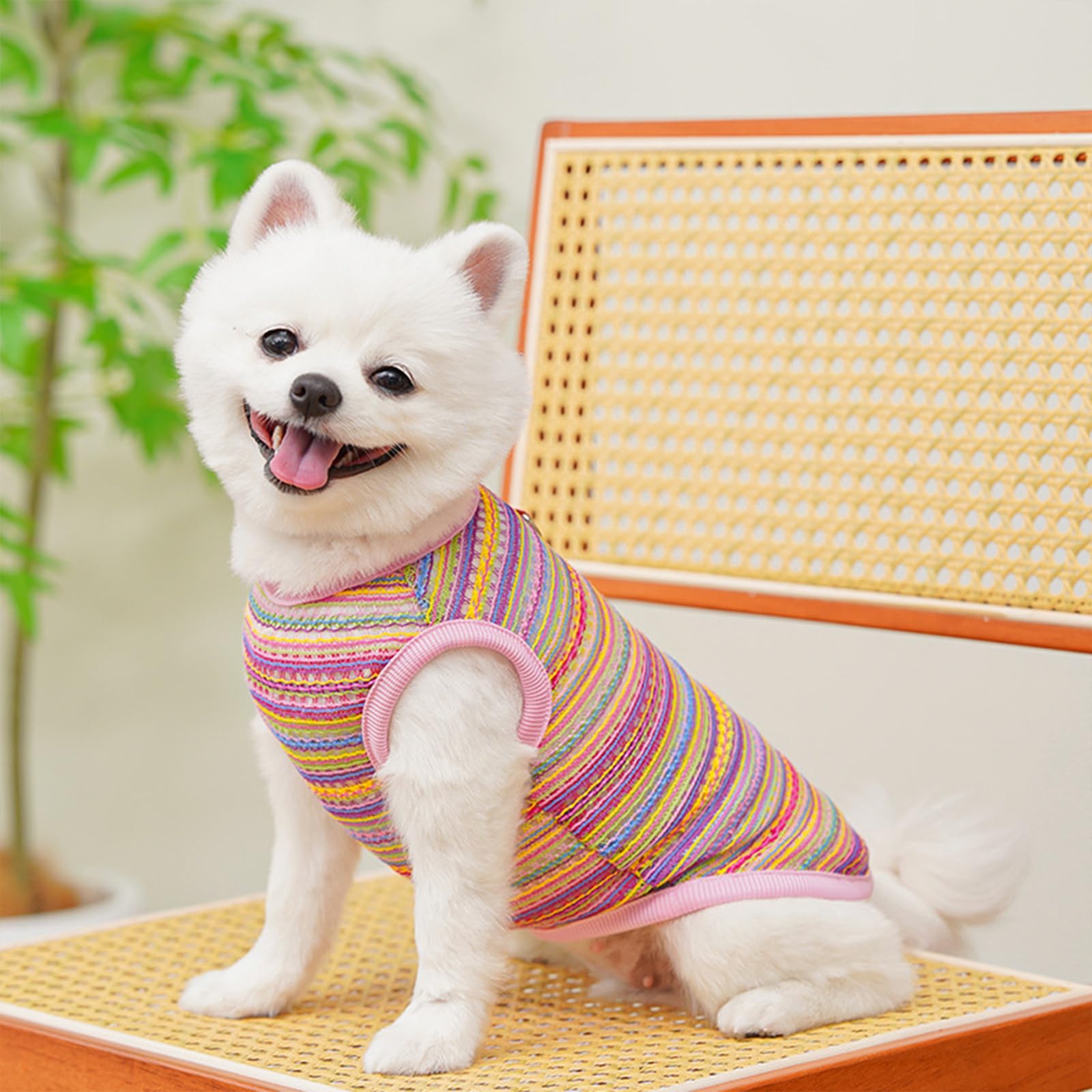 Yoolhamy Dog Clothes for Small Dogs Summer Vest Pupply T Shirts Breathable Sleeveless Tee Shirt for Pet Chihuahua Yorkie Teddy Cat Sweatshirt (2pcs) (L) - Image 3