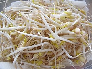 PREMIER SEEDS DIRECT - Organic Sprouting Seed - Mung Bean - 40GM