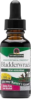 Nature's Answer Bladderwrack Thallus with Organic Low Alcohol 1 Fluid Ounce | Natural Immune Booster | Supports Digestion | Promotes a Healthy Thyroid