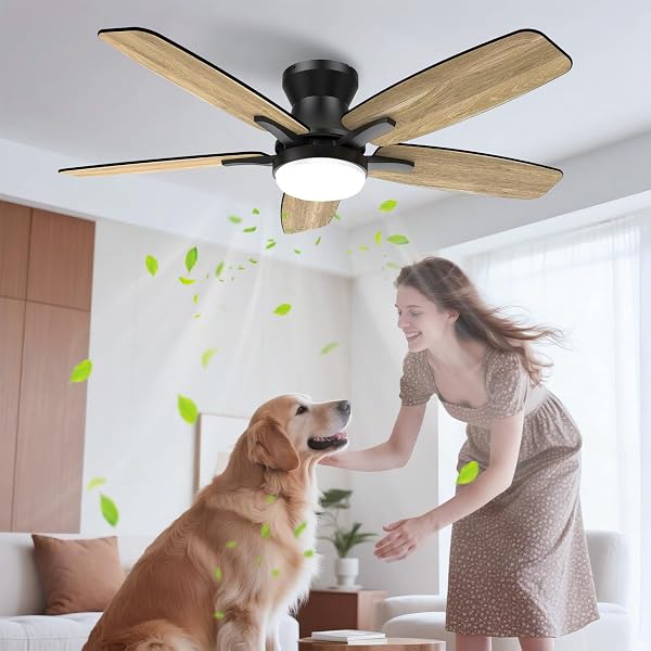 Airwit 106 cm Silent Ceiling Fan with Remote Control