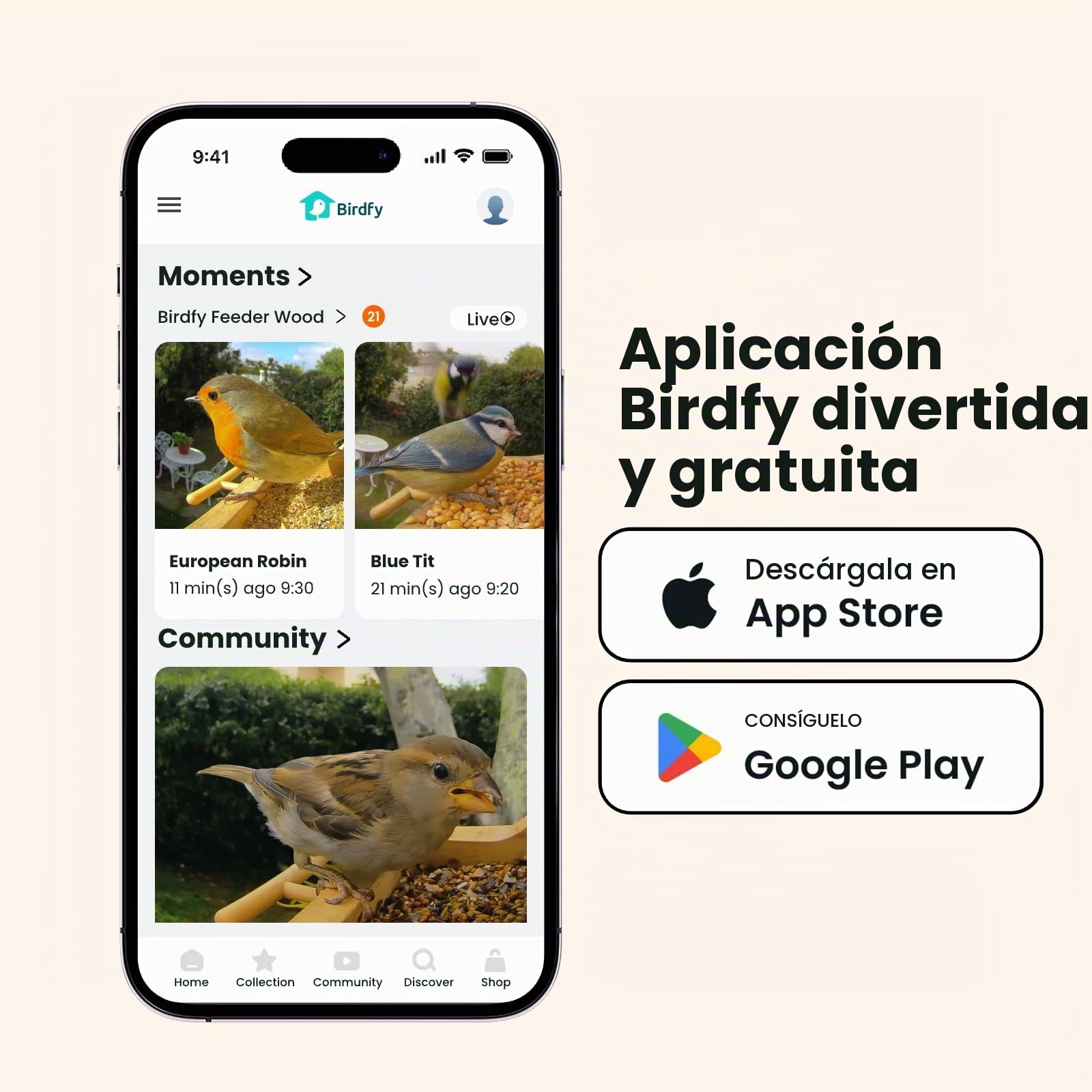 Smart Bird Feeder with Camera, Birdfy Bird Feeder Made of Wood, Solar Powered, AI Detection for 6000+ Bird Species, 1080P Portrait, Weatherproof, App Live View, Youtube & Facebook Streaming