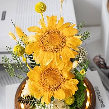 71UdCrwRjYL._AC_UF350, 71UdCrwRjYL._AC_UF350,