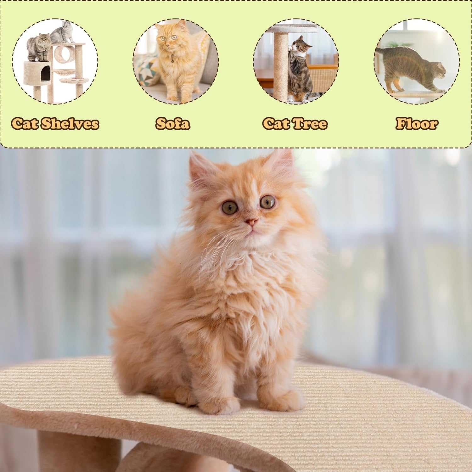 review Cat Scratching Board, 78.7