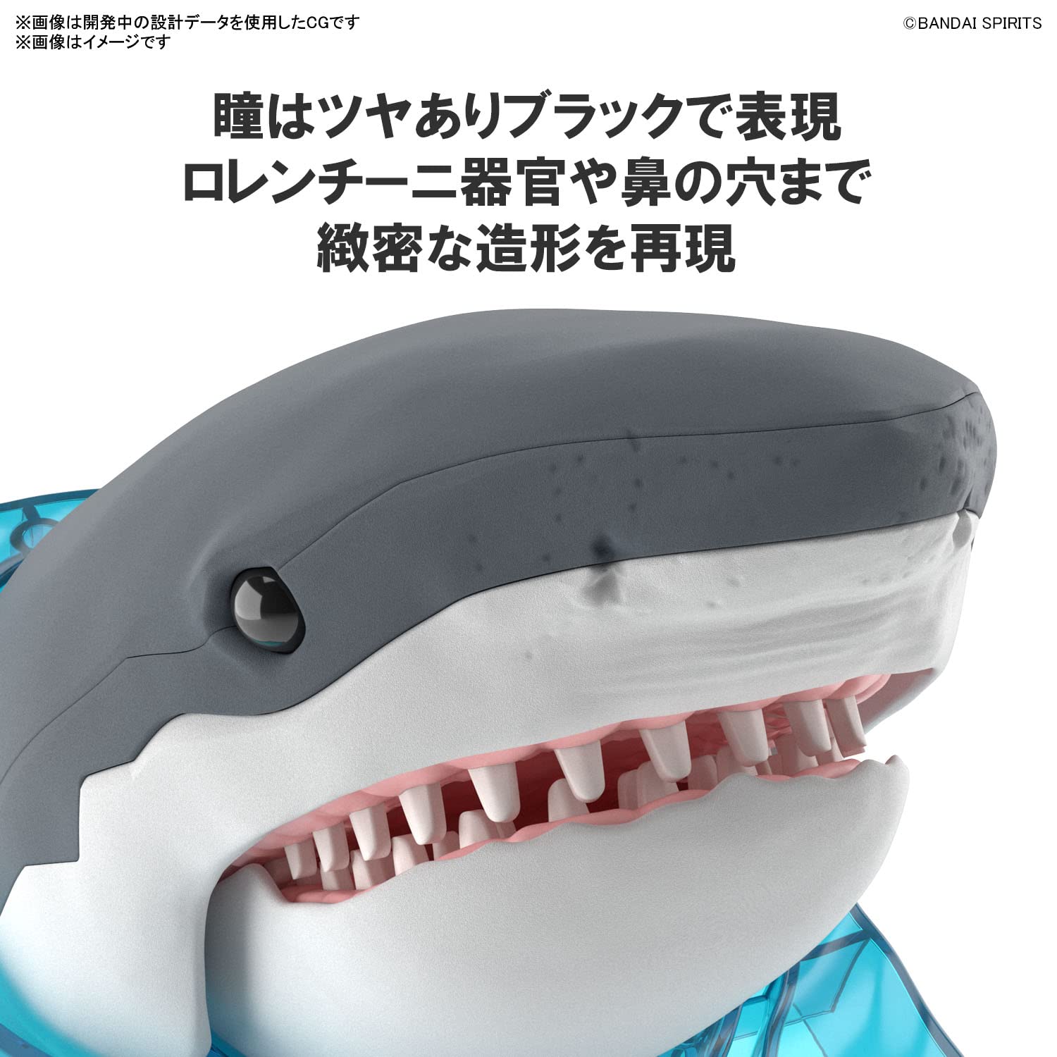 Amazon.com: Bandai Hobby - Exploring Lab Nature - Great White