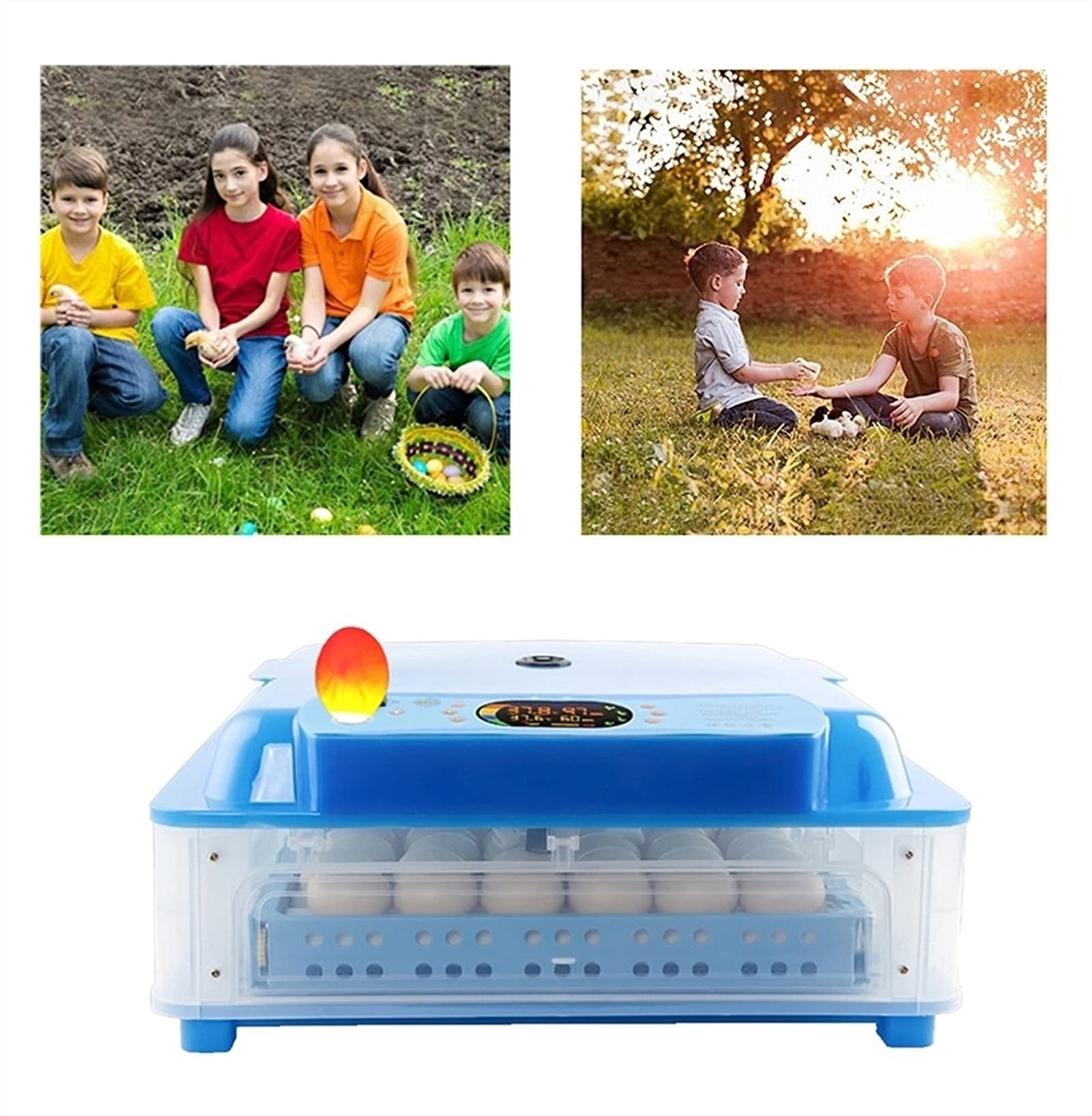 Incubateurs pour éclosion d'œufs avec tourneur automatique avec température et humidité LED Candler transparent poulets, canards, oies, cailles, oiseaux, 64 œufs