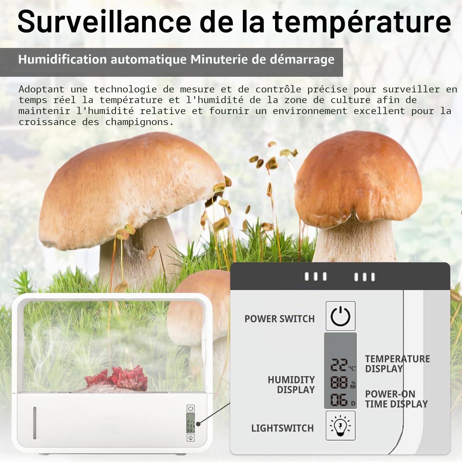 Kit Champignons à Faire Pousser, Tente de Culture de Champignons avec Affichage de la Température et de l'humidité, Boîte de Culture de Champignons, Stations de Propagation de Hotte de Mycologie