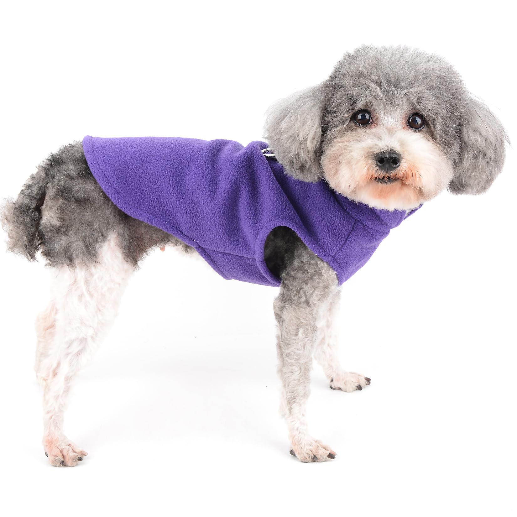 Ranphy Fleece hondentrui voor kleine honden, effen huisdierkleding met
