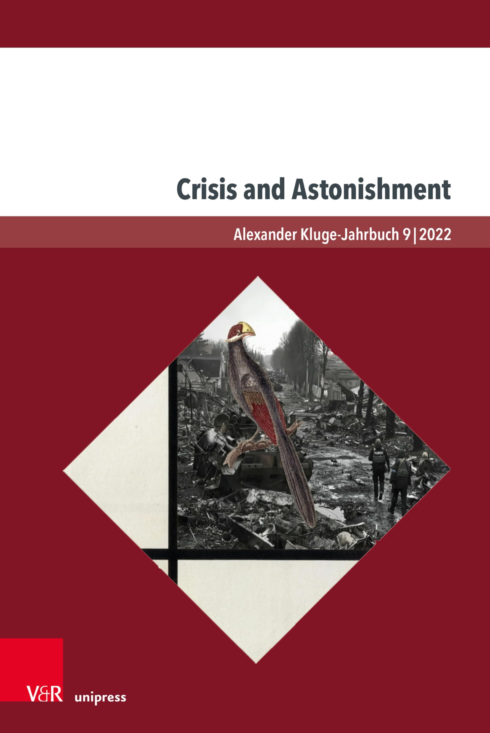 Crisis and Astonishment Alexander Kluge-Jahrbuch 9 décrypter crises
