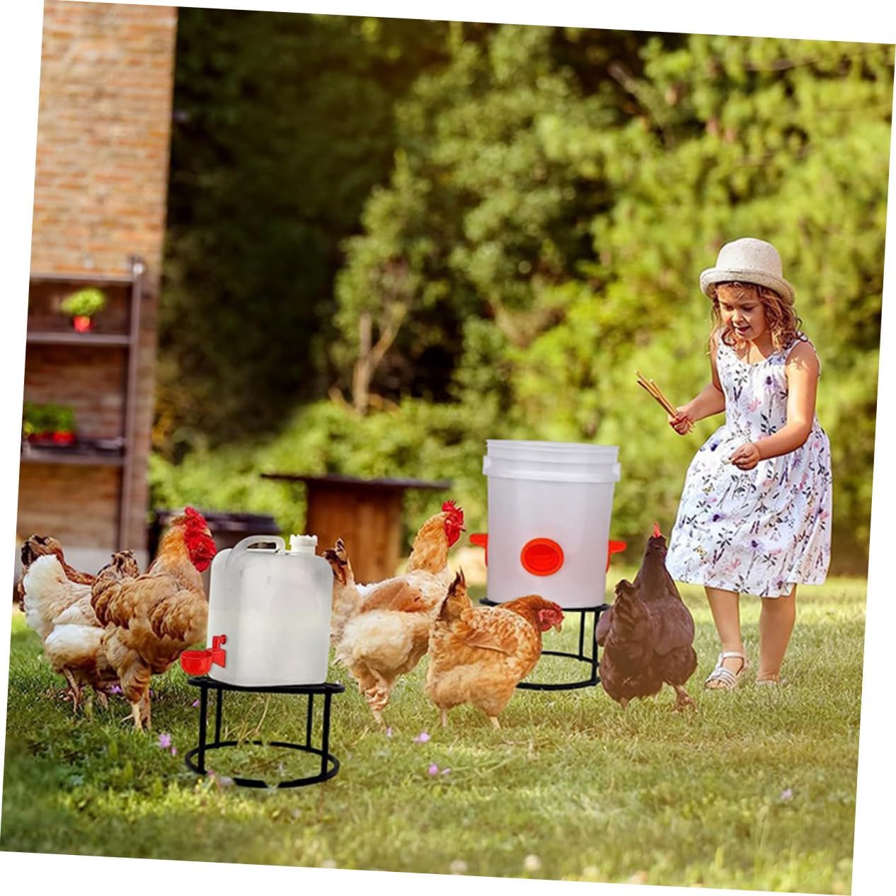 BESPORTBLE 2pcs Heavy-Duty Metal Chicken Waterer and Feeder Stand Coop Holder for Integrated Poultry Feeders Easy to Assemble and Clean Stable Support for Outdoor Use