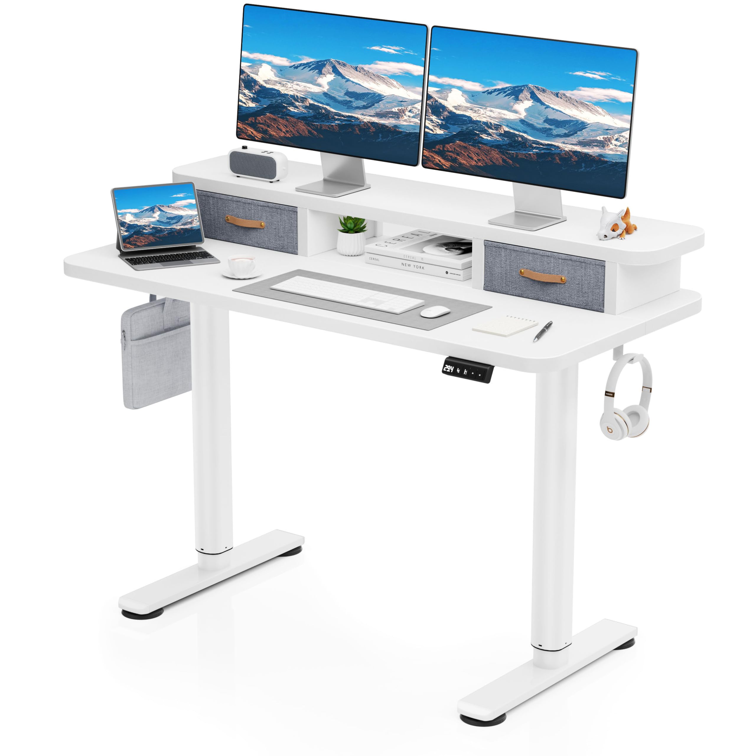 Flycity Electric Standing Desk with Dual Drawers, 48" x 24" Height Adjustable Desk Sit Stand Desk with Memory Controller, Casters & 2 Hooks, Low Noise