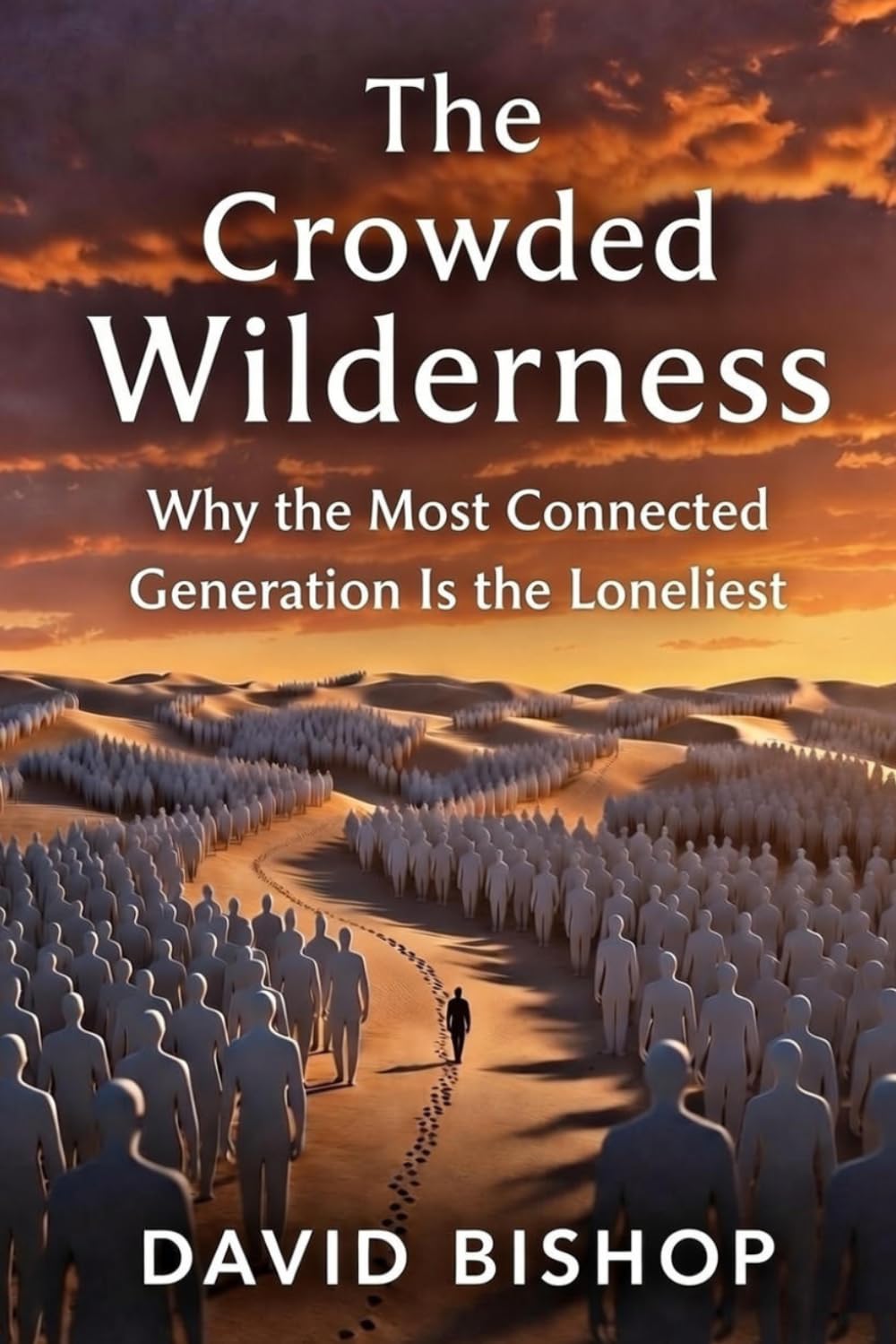 The Crowded Wilderness: Why the Most Connected Generation Is the Loneliest (The Reclaimed Soul Series)