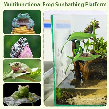 PetPhindU 3 Pack Dwarf Frog Tank Accessories, Leaf Shape Basking Platform with Suction Cups for Turtle Tank, Reptile Leaf Aquarium Decoration for Small Amphibians