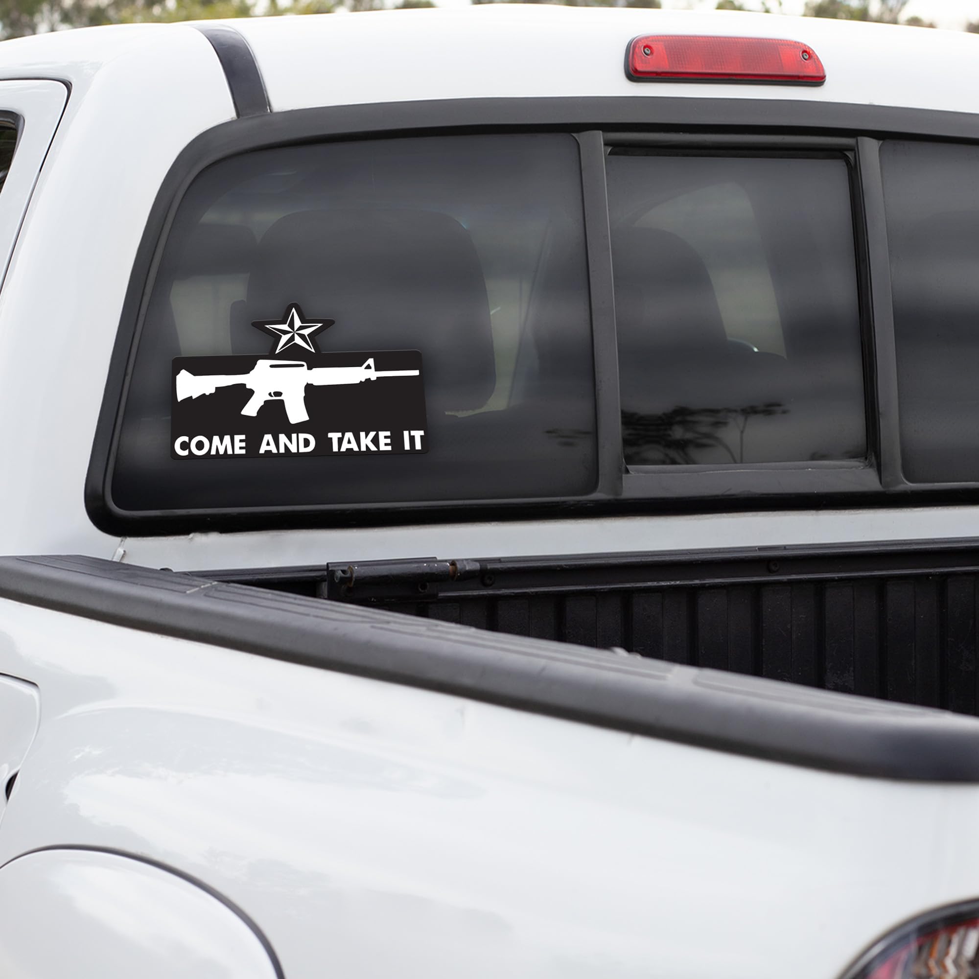 "She Wants The D...IESEL" Vinyl Decal - 7x3.5 Inch Funny Car Sticker