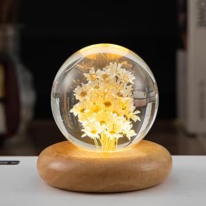 Pletmin Daisy Gifts Daisy Crystal Ball Night Light 2 76 inch Glass Ball Lamp with Wooden Base Perfect
