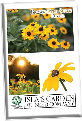 Miniatura 8 de Semillas de flores Susan de ojos marrones para plantar, más de 3000 semillas por paquete, semillas de jardín de Isla (semillas de jardín de Isla),