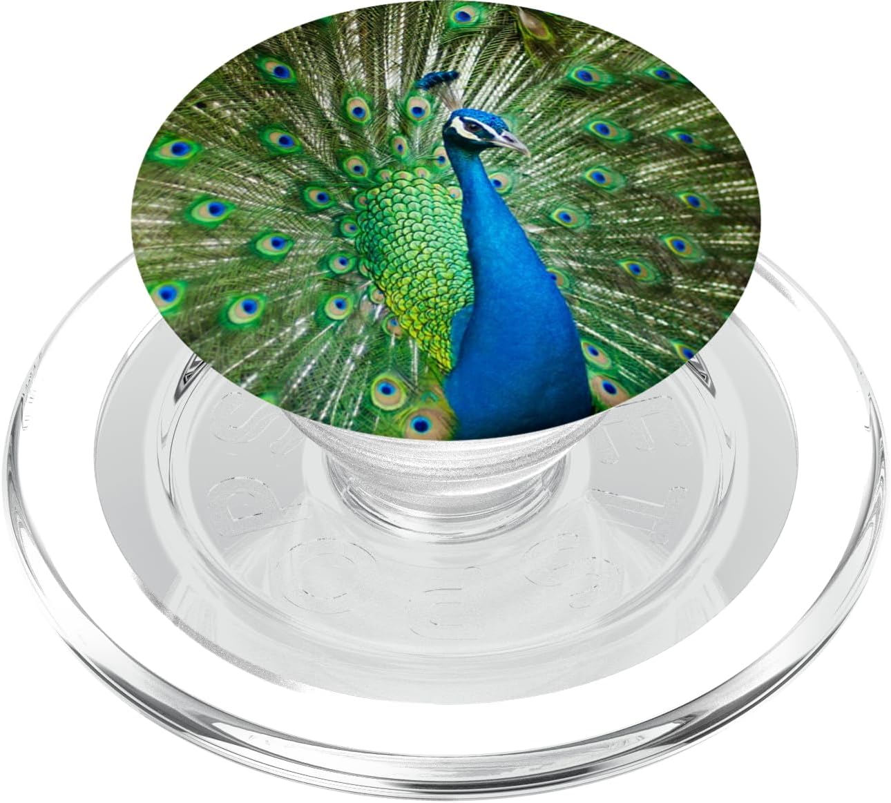 Peacock Grip - Grip Peacock Design PopSockets PopGrip for MagSafe