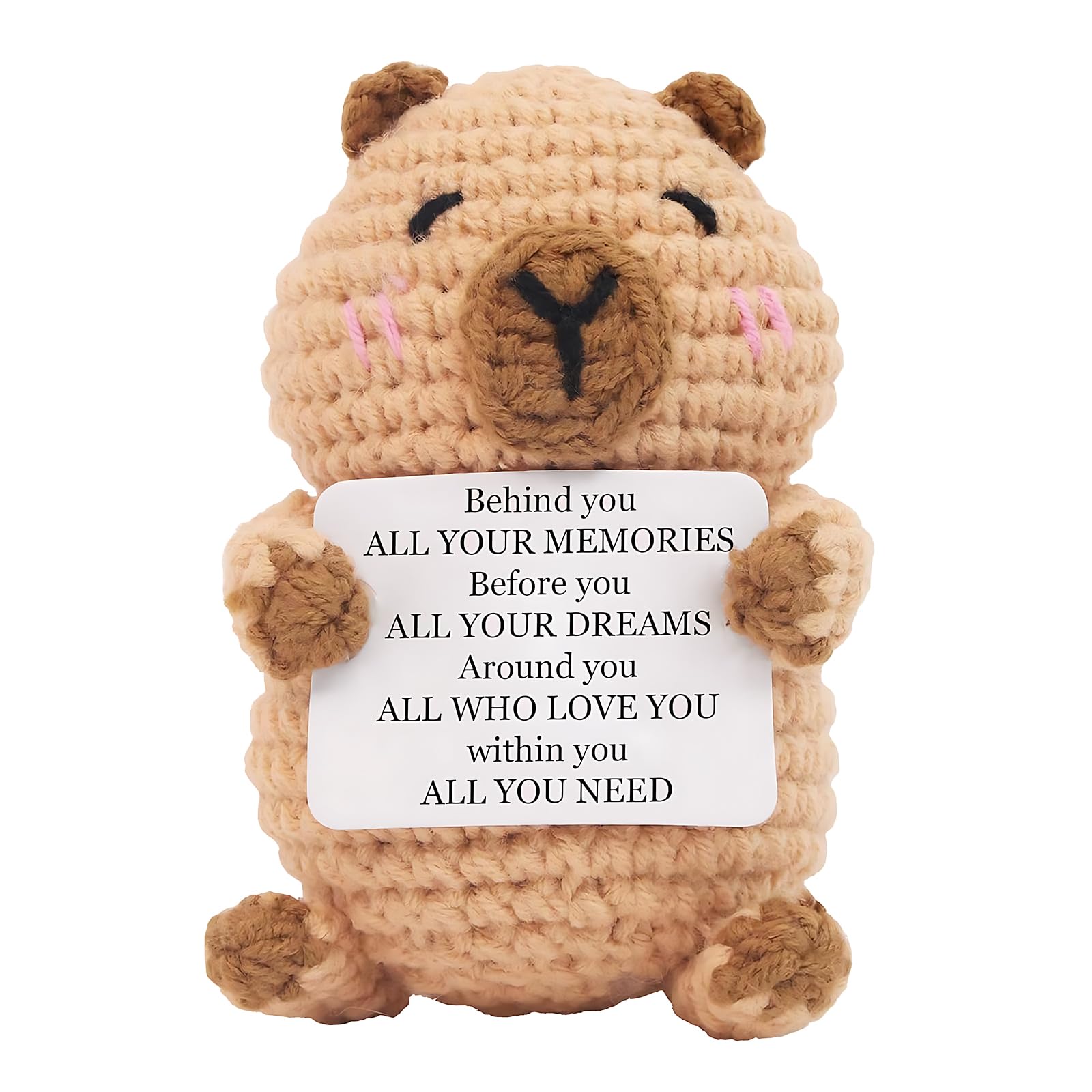 Hocklliy Positive Capybara, Emotional Support Positive Crochet Animals with Affirmation Cards, Handmade Crochet for Animal Lovers Office Home Decor โ image 1