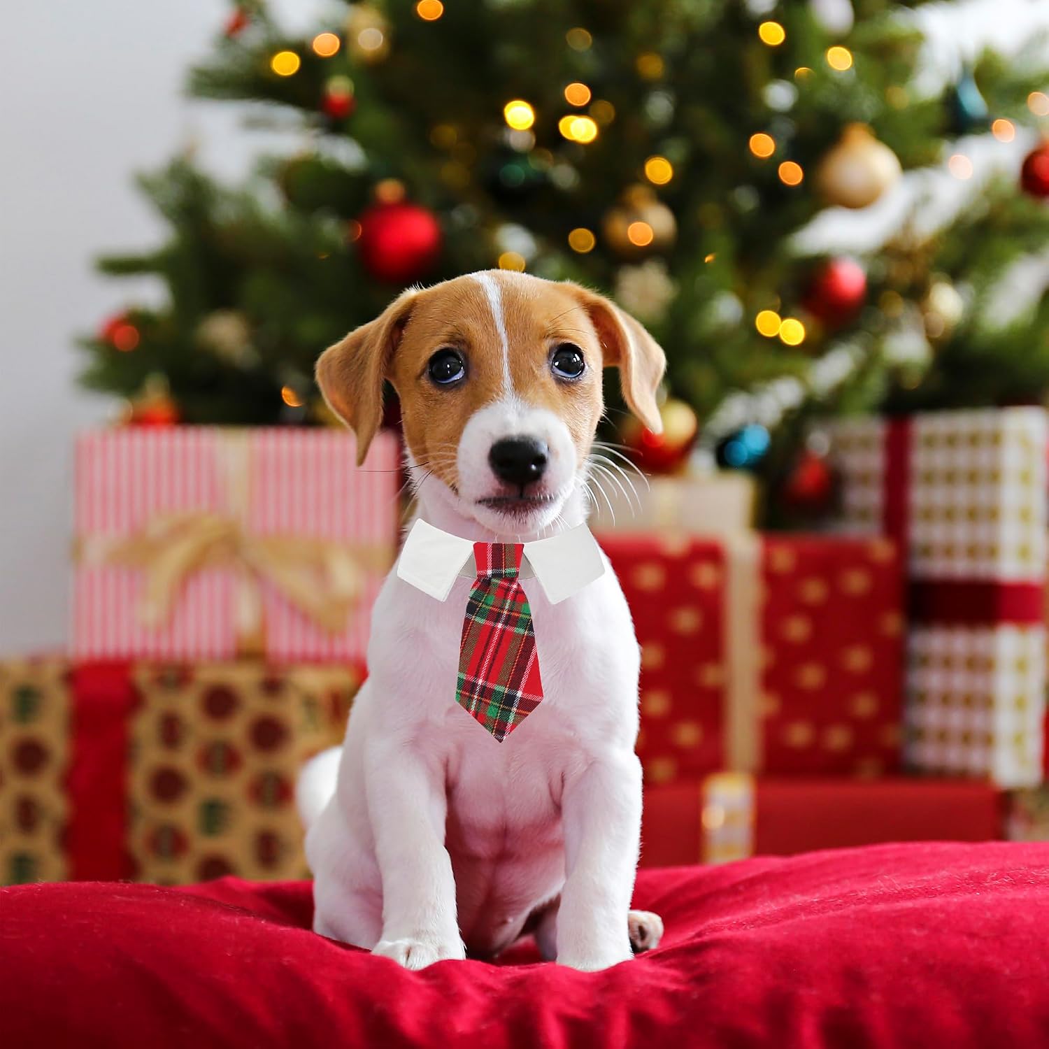 ADOGGYGO Christmas Dog Necktie Tuxedo, Red Plaid Pet Christmas Neck Tie Collar for Small Medium Large Dogs Pets (Small) image 3