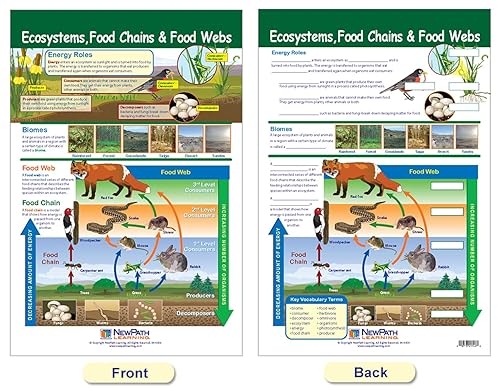 Miniatura 4 de NewPath Learning Ecology - Juego de 3 tablas de anuncios, laminadas, de doble cara, a todo color, 12 x 18 pulgadas (94-7007)