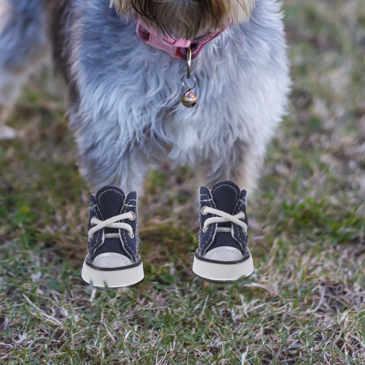 SUPVOX Lot de 4 chaussures décontractées à lacets pour chien de petite taille XS