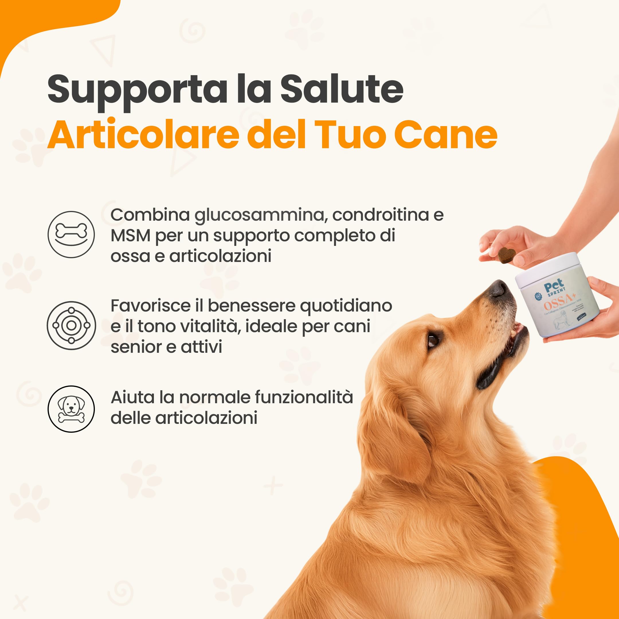 Integratore Articolazioni per Cani Ossa Più – Collagene, Glucosammina, MSM, Condroitina & Acido Ialuronico – Marchio Italiano