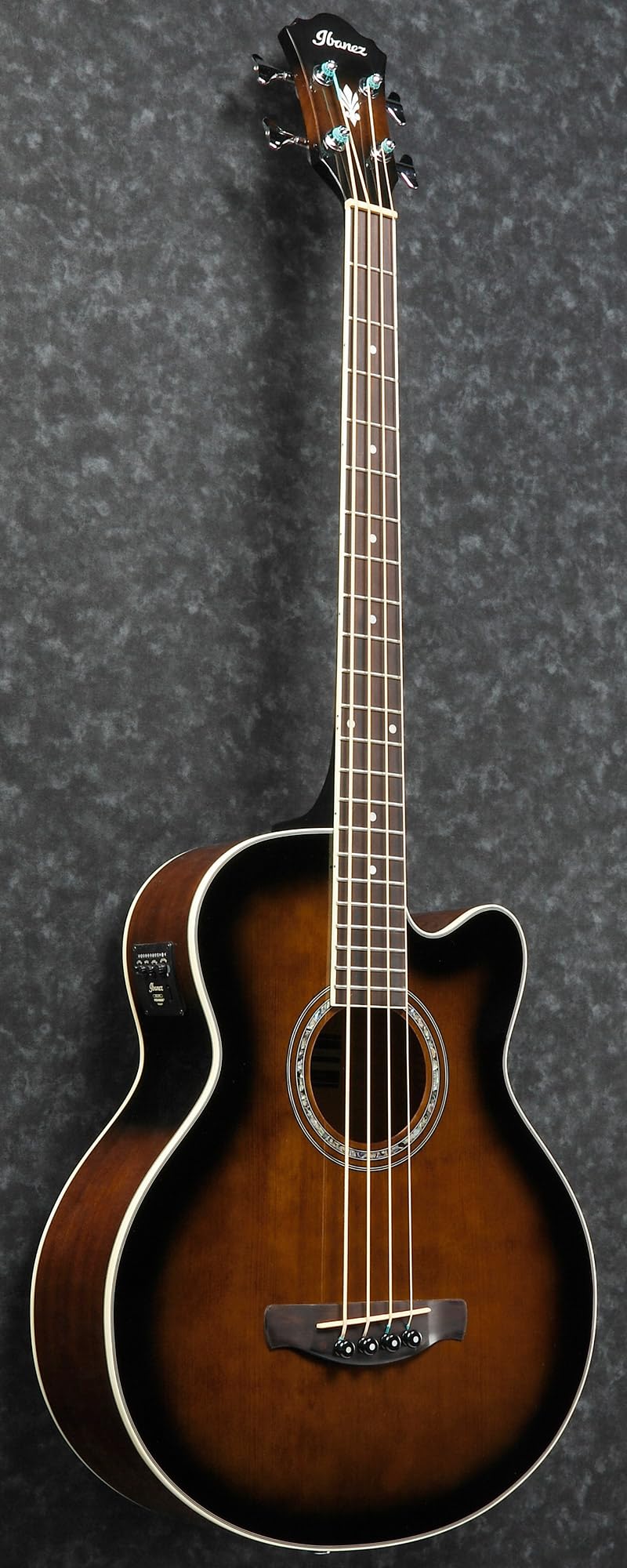 Amazon.com: Ibanez AEB10E Acoustic-Electric Bass Guitar