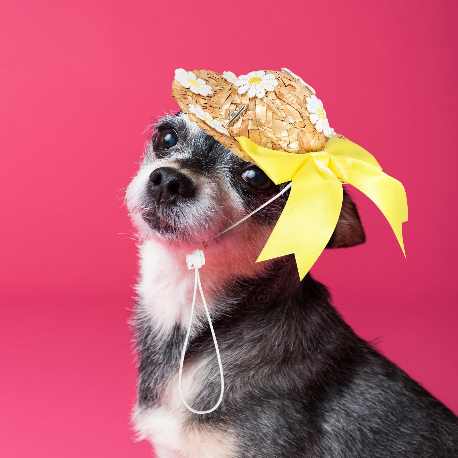 Hemobllo Hat, Dog Sombrero Hat Sun Cap Floral Chihuahua with Bow Adjustable Chin Strap Sun Woven for Small Dogs Puppy Cats - Image 3