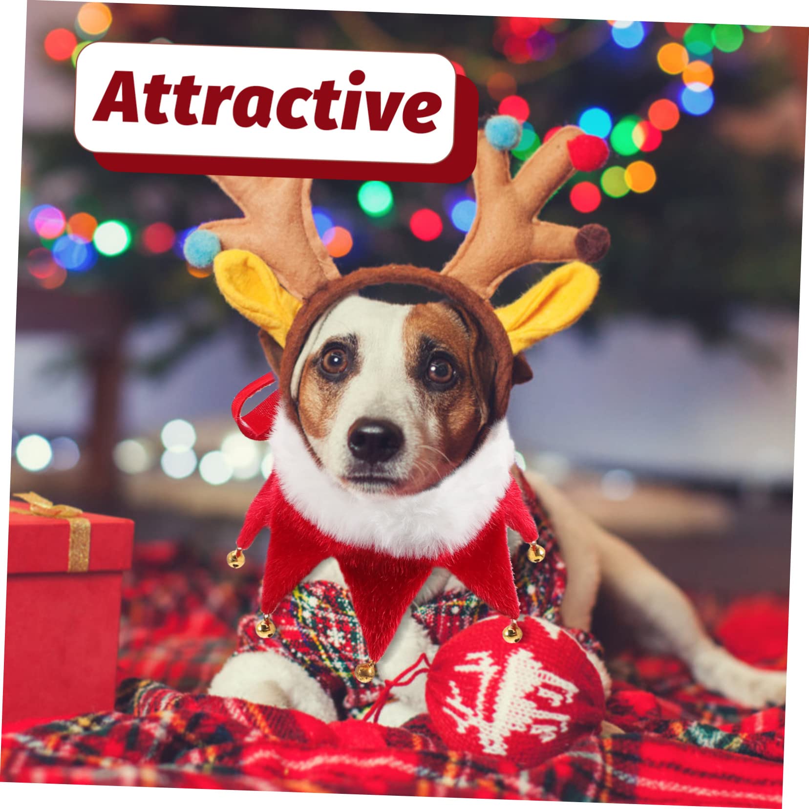 BESPORTBLE 5stücke Verstellbares Weihnachts-hundehalsband Mit Glöckchen Dekoratives Haustierhalsband Für Katzen Und Hunde Für Weihnachtsfeiern Und Fotoshootings