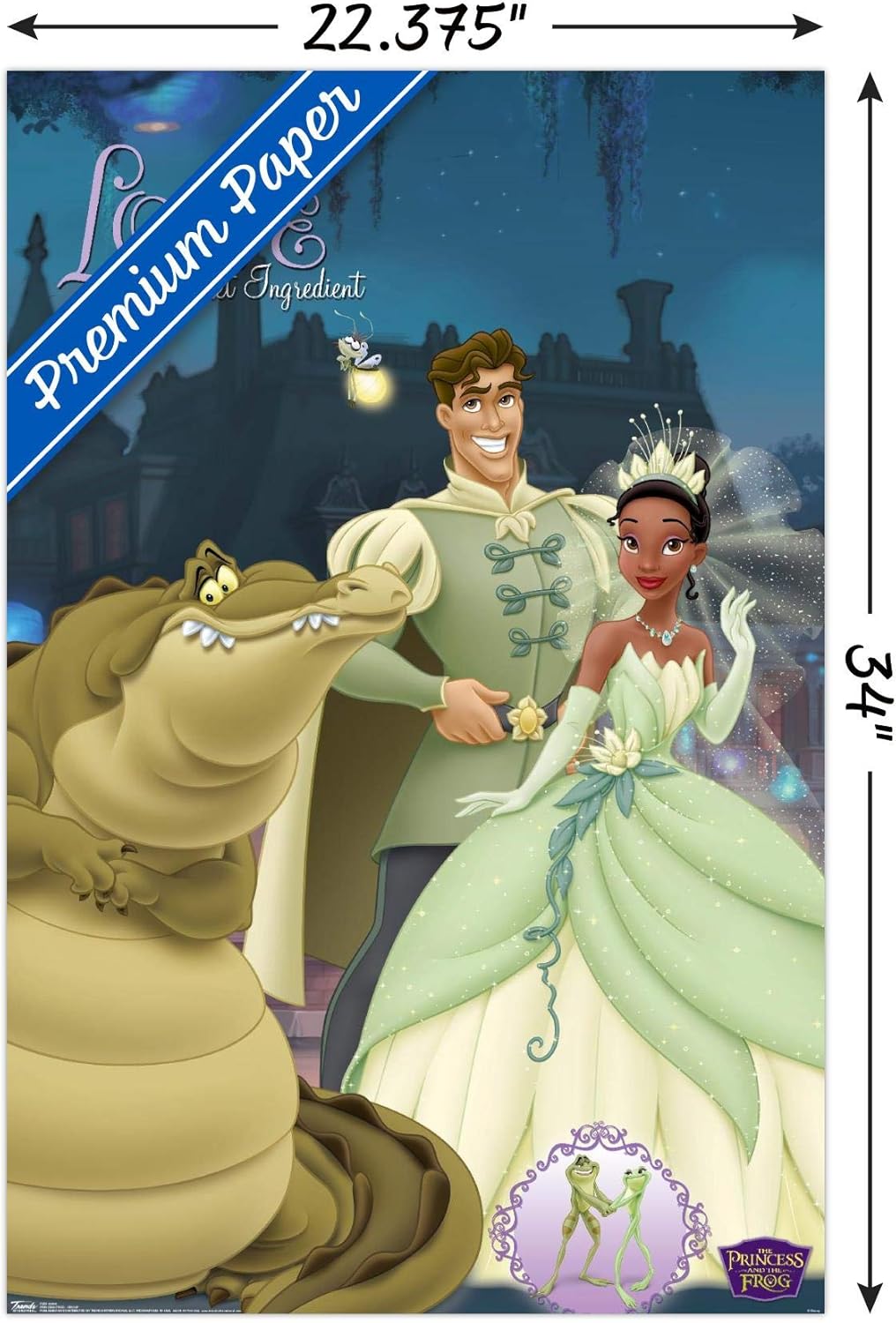 Disney Princess and the Frog - Group Wall Poster