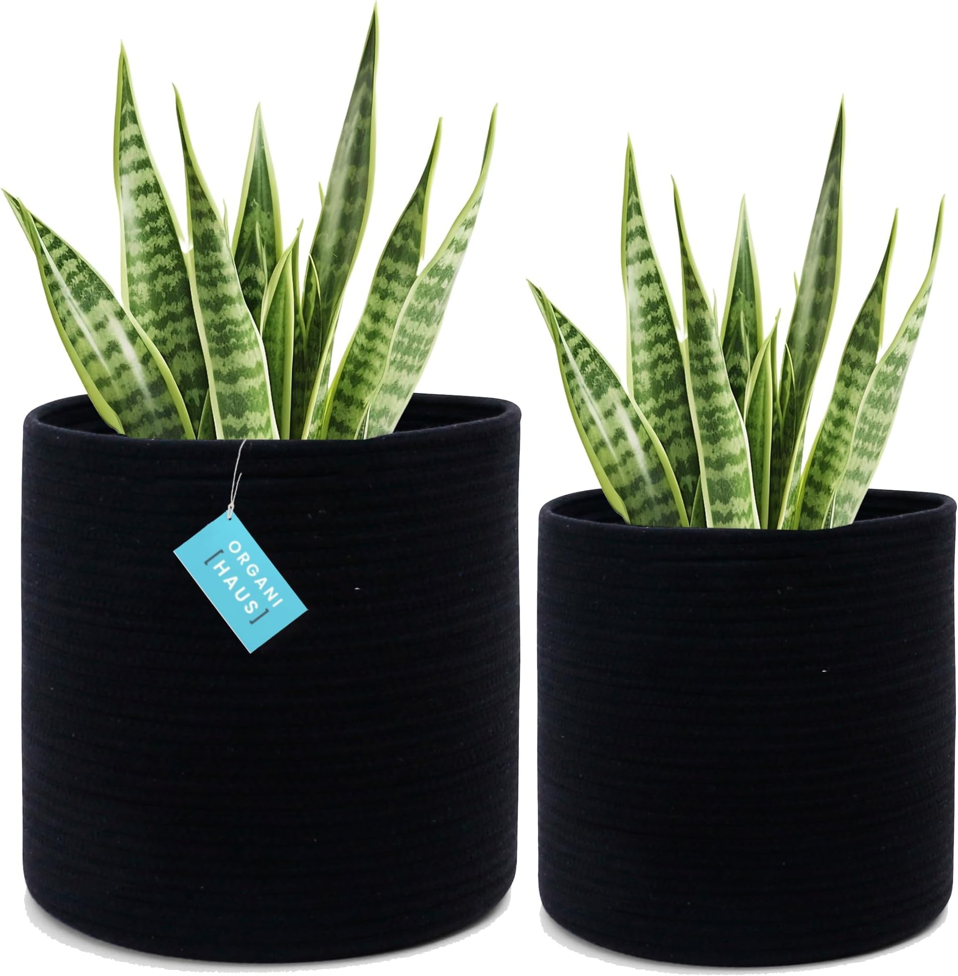 Decorative Woven Planter with Plastic Liner main image 0