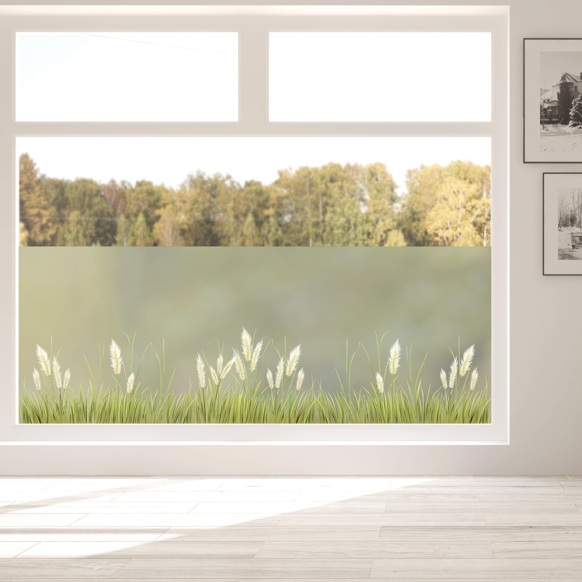 Sichtschutzfolie farbiges Pampasgras Gräser Fensterfolie Fensterdeko Milchglasfolie Sichtschutz Folie Fenster, 55 cm hoch, 200 cm breit