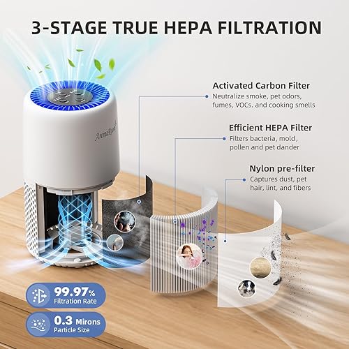 Miniatura 4 de AromaRoom H13 - Purificador de aire HEPA para el dormitorio del hogar, filtro de aire HEPA para humo, polen, caspa de cabello, filtro 3 en 1 con