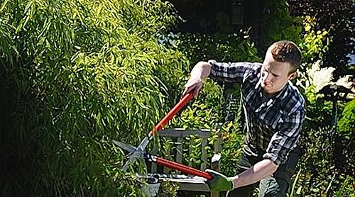 Miniatura 42 de BERGER Topiary Shear 2510 - Cizalla de jardín con mango de madera de haya con cuchillas autoafilables, longitud 17.7 in