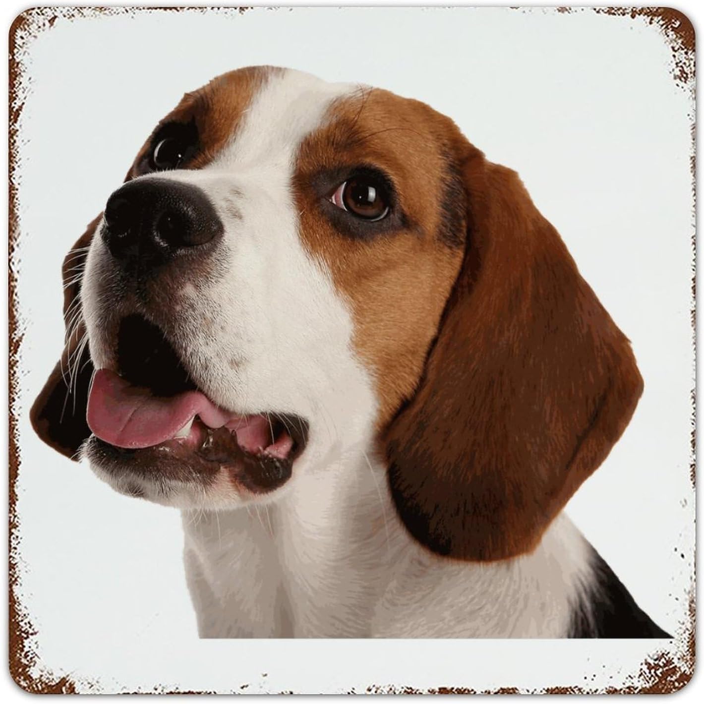 Farmhouse Metal Signs Outdoor French Bulldog Home Decor Garage Signs for Backyard Patio Living Room Abstract Pet Puppy Painting Art Poster Gift for Laundry 10x14 Inch