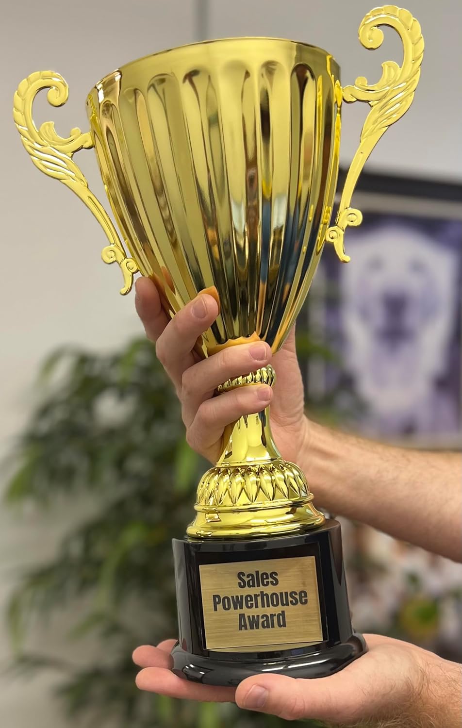 Gold or Silver Real Metal Cup Trophy - Trophy Award, Engraved Corporate Trophy Cup Award (8.75", 9.75", 12", 13.25" or 14.5" Tall) - Free Engraved Plate Included