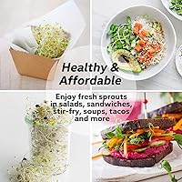 Vista 7 de Kit de tarros de germinación de semillas – 2 tarros de masón de boca ancha con tapas de germinación de acero inoxidable 316, bandeja de goteo